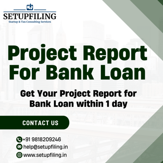 Project Report for Loan: Applly Now