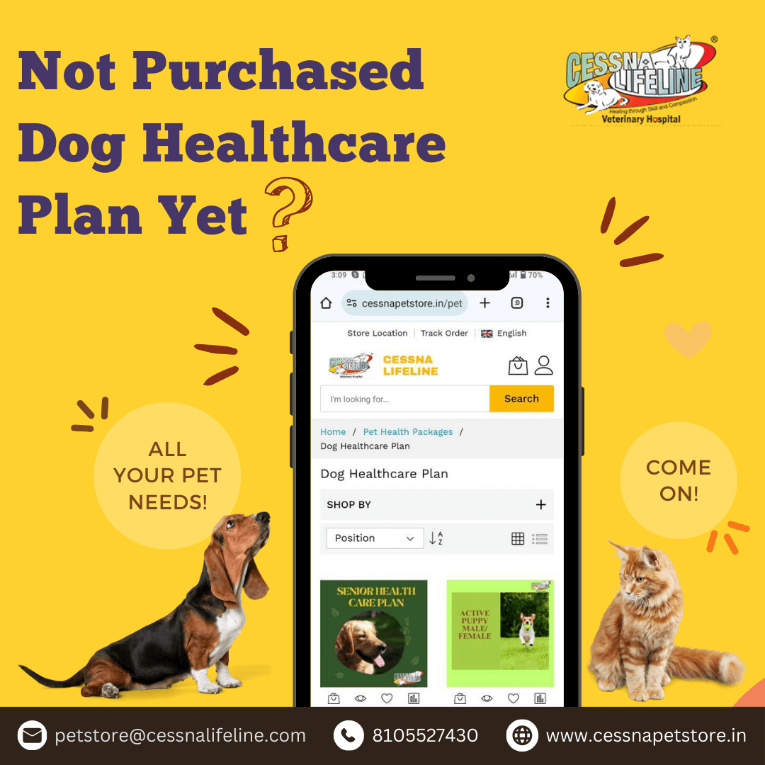 Dog Healthcare Plan