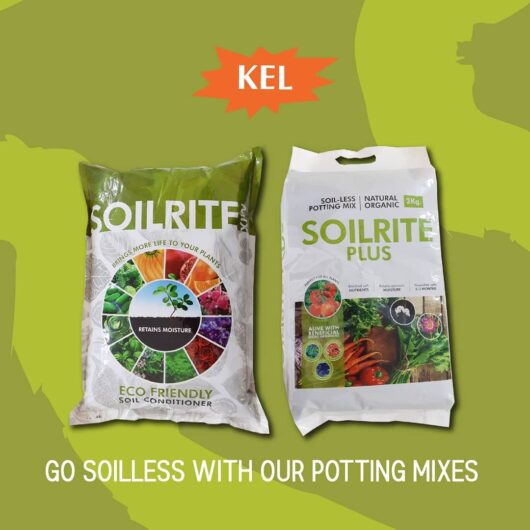 Potting soil for indoor Plants | Best Plant Products Online – Keltech Energies