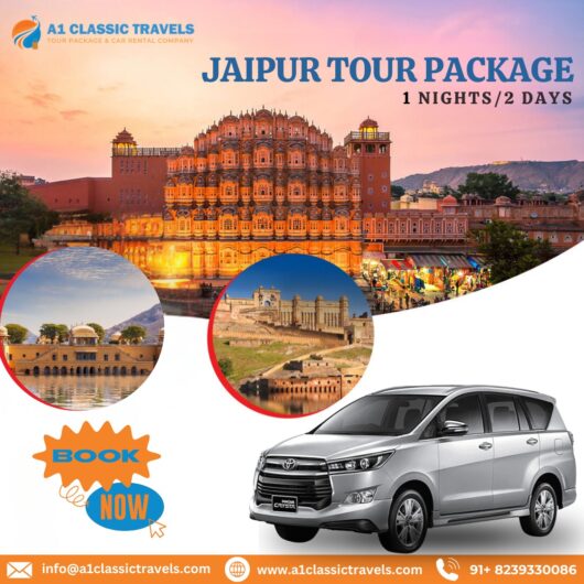 Top Jaipur Tour Operators to Explore in 2024