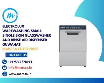 Electrolux-Warewashing-Small-Single-Skin-Glasswasher-and-rinse-aid-dispenser-Guwahati-Marssa-Enterprise-