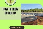 Grow and Produce Spirulina-Green Bubble Algal Works’ Guide