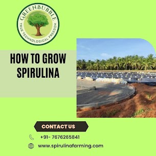 Grow and Produce Spirulina-Green Bubble Algal Works’ Guide