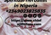 The best powerful spiritual herbalist in Nigeria +2349023825835