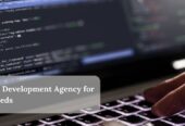 Website Development Agency for Your Needs