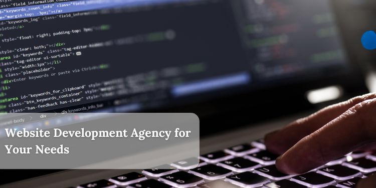 Website Development Agency for Your Needs