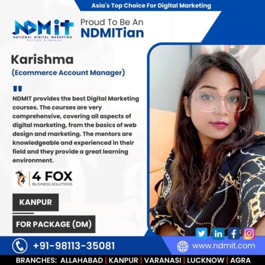 NDMIT – Online Digital Marketing Institute in Kanpur