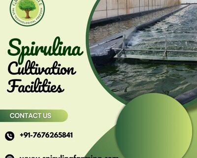 Spirulina-Cultivation-Facilities