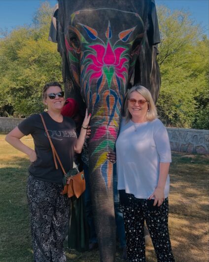 Elephant Wildlife Sanctuary Jaipur