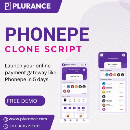 Power Up Your Payment Startup with a High-Performance PhonePe Clone Solution!