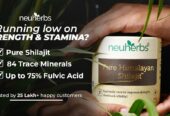 Discover the Best Shilajit Resin in India