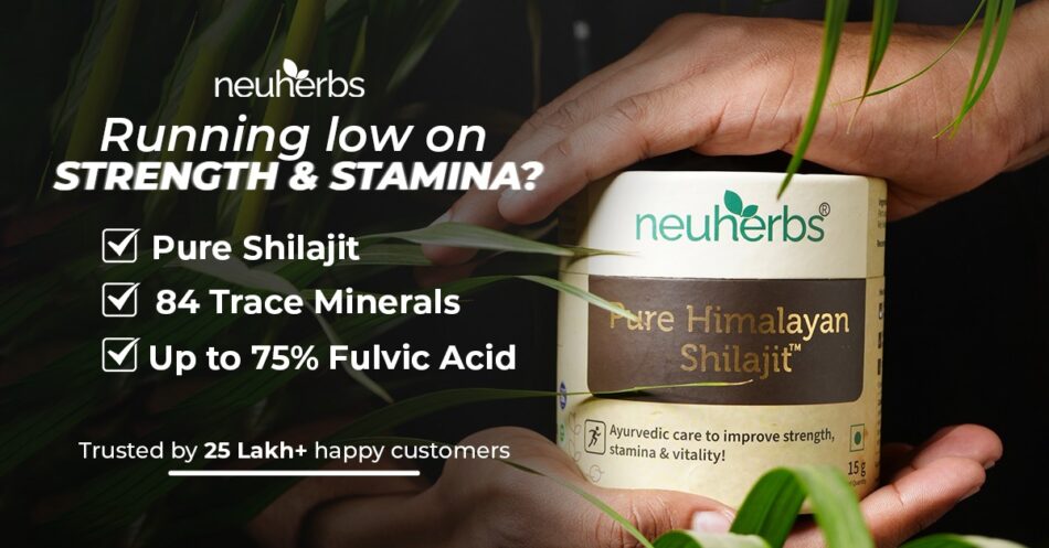 Discover the Best Shilajit Resin in India