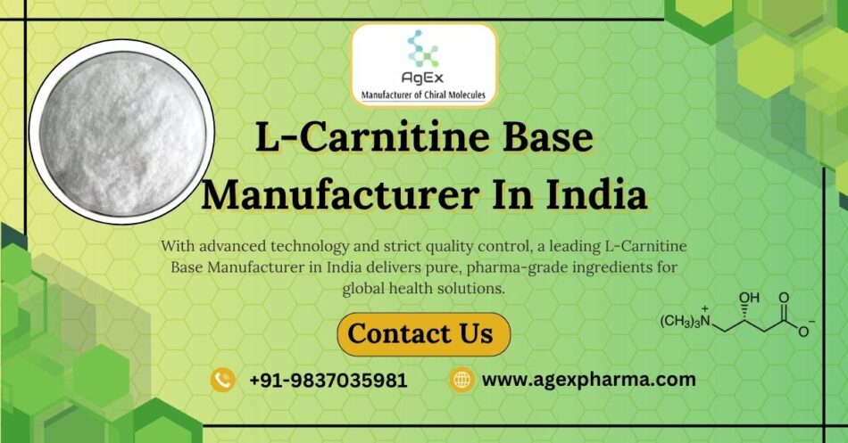 L-Carnitine Base Manufacturer in India – Supplying Globally