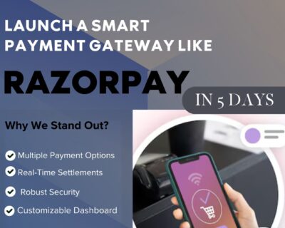 Launch-a-Smart-Payment-Gateway-like-1