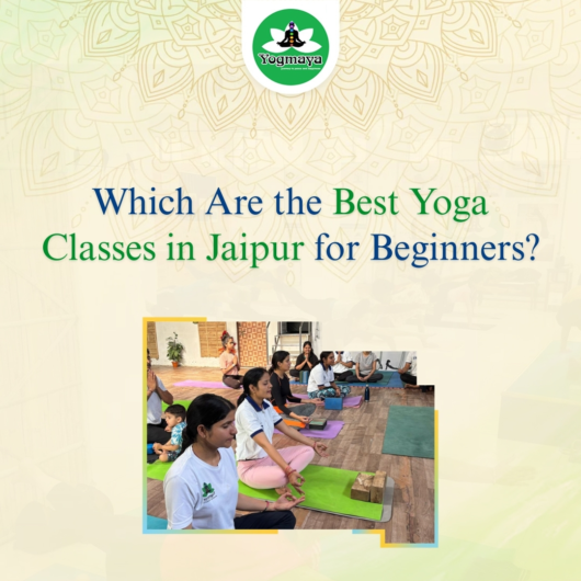 Which Are the Best Yoga Classes in Jaipur for Beginners?