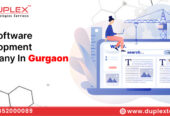 Top Software Development Company in Gurgaon