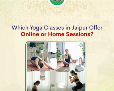 Which-Yoga-Classes-in-Jaipur-Offer-Online-or-Home-Sessions