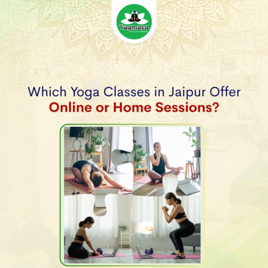 Which Yoga Classes in Jaipur Offer Online or Home Sessions?