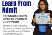 Contact NDMIT for the Online Digital Marketing Course in Agra