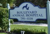Boulevard Animal Hospital