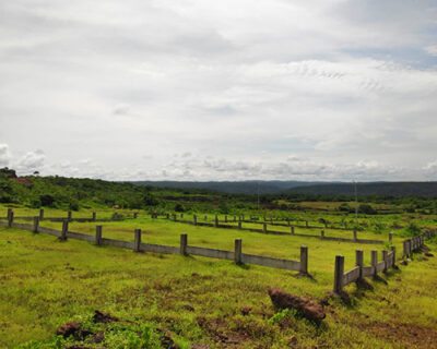 plots3