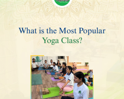 what-is-the-most-popular-yoga-class