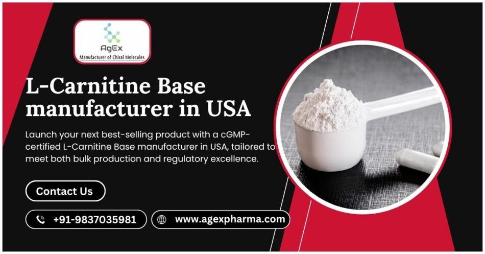 cGMP-Trusted L-Carnitine Base manufacturer in USA