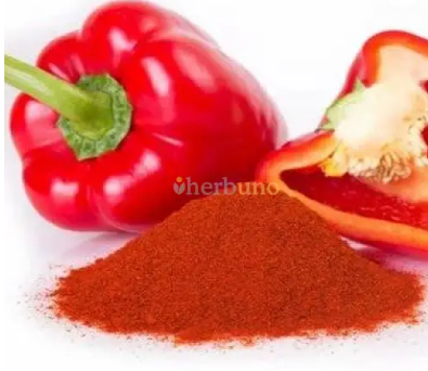 Buy Premium Red Capsicum Powder – Vibrant Color & Sweet Pepper Flavor