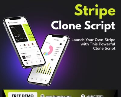 Stripe-Clone-Script-7.2.25-