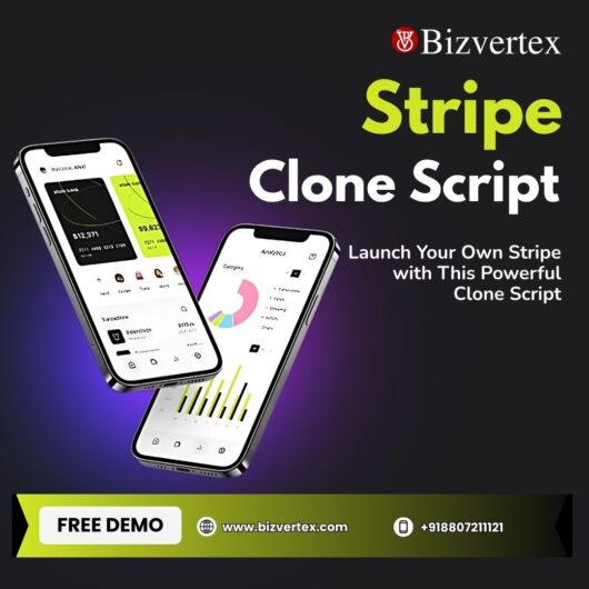 Launch Your Own Stripe with This Powerful Clone Script