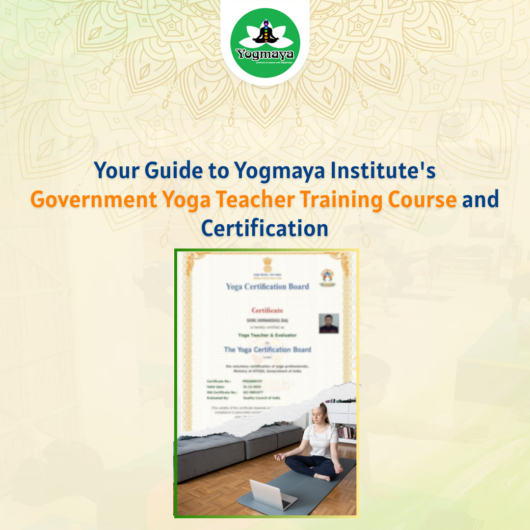 Government Yoga Teacher Training Course and Certification