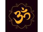 +917508984699 Love marriage problem specialist astrologer in india