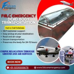 Copy-of-Get-corpse-transport-1
