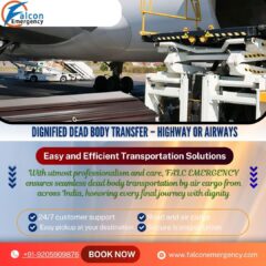 Copy-of-Get-corpse-transport-2