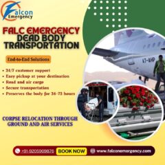 Copy-of-Get-corpse-transport