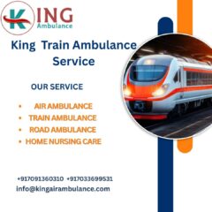 King-Train-Ambulance-Service-2025-08-22T153457.079