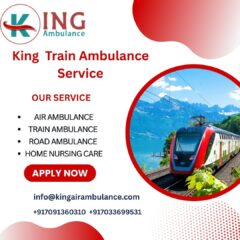 King-Train-Ambulance-Service-2025-08-22T154217.084
