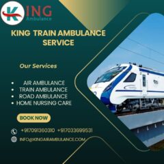 King-Train-Ambulance-Service-2025-08-23T122452.001
