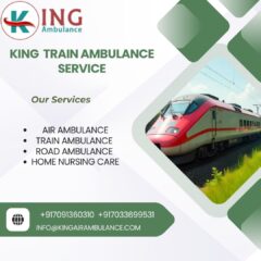 King-Train-Ambulance-Service-2025-08-23T145800.959