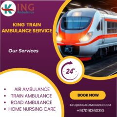 King-Train-Ambulance-Service-2025-08-23T151053.091