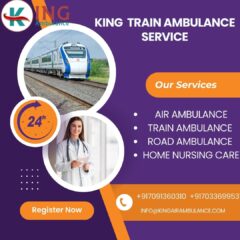 King-Train-Ambulance-Service-2025-08-23T151620.958
