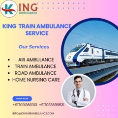 King-Train-Ambulance-Service-2025-08-23T152130.517