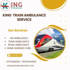 King-Train-Ambulance-Service-2025-08-23T152856.641