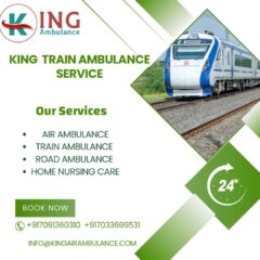 King-Train-Ambulance-Service-2025-08-23T153243.046
