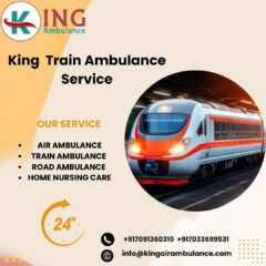 King-Train-Ambulance-Service-90