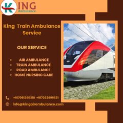 King-Train-Ambulance-Service-93