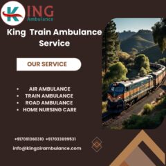 King-Train-Ambulance-Service-94