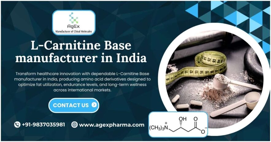 Elevate Energy with L-Carnitine Base manufacturer in India Experts