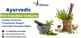 PCD-Franchise-Company-768×361-1
