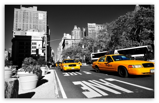 Customized Taxi App Development for Growing Startups & Established Enterprises – Dev Story